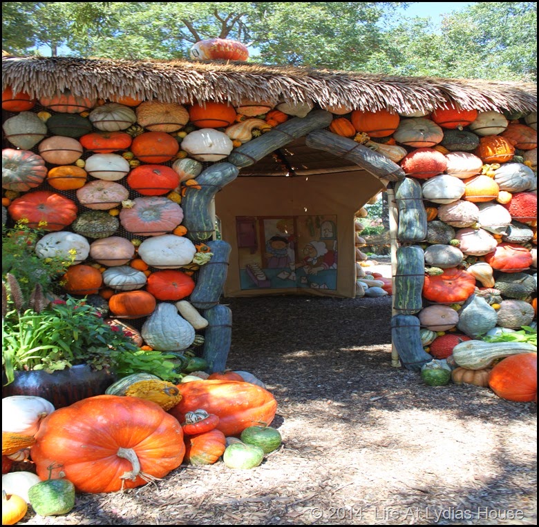 Dallas Arboretum - pumpkin festival-pumpkin house 3