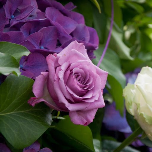 Hd-177477-ascw177477