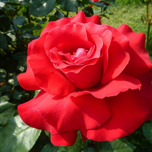 Hd-131659-ascw131659