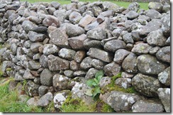 walls and gates goat round stones