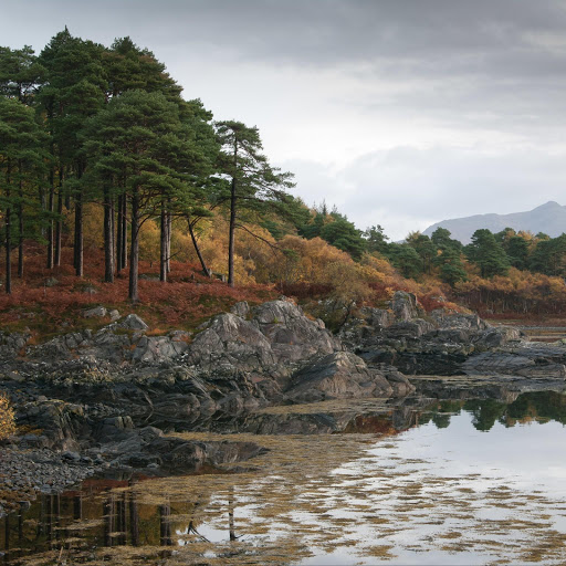 Hd-141765-ascw141765