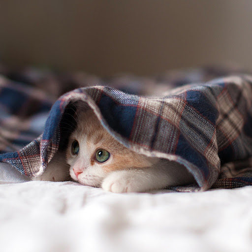 Hd-166186-ascw166186