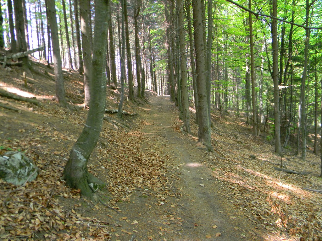 [DSCN82793.jpg]