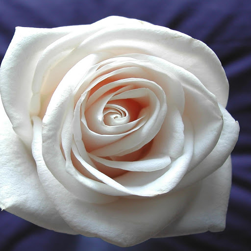 Hd-177567-ascw177567