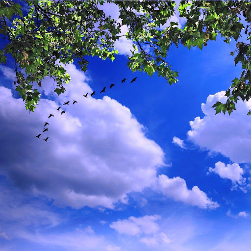 Hd-142169-ascw142169