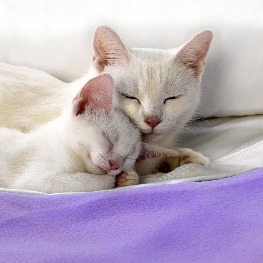 Hd-177532-ascw177532