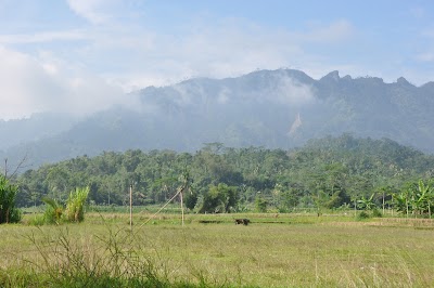 DSC_0306.JPG