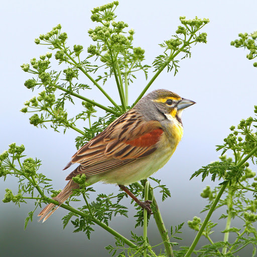 Hd-178660-ascw178660