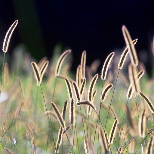 Hd-163879-ascw163879