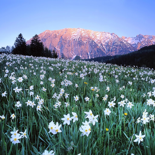 Hd-148398-ascw148398