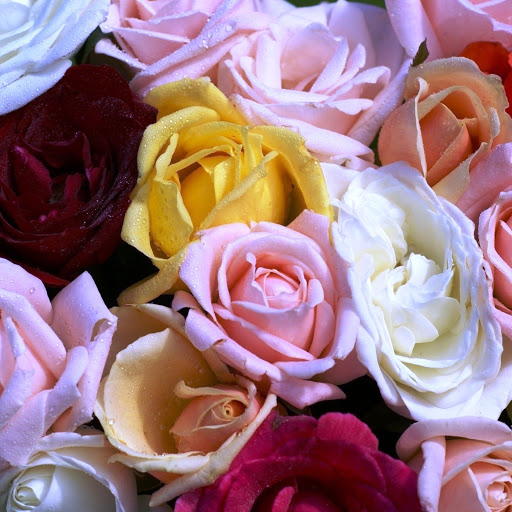 Hd-146156-ascw146156