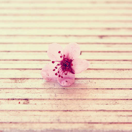 Hd-163873-ascw163873