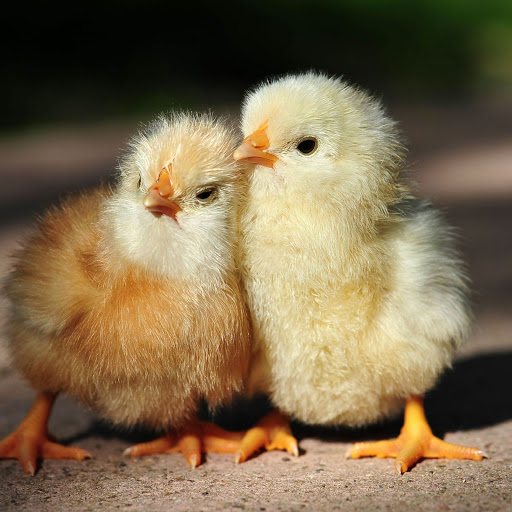 Hd-157099-ascw157099