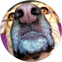 Image Google de missgodie .