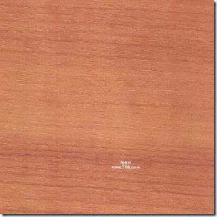 O57923