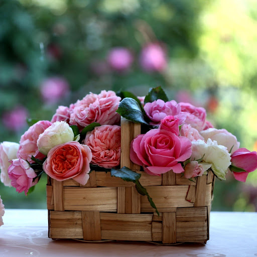 Hd-161951-ascw161951