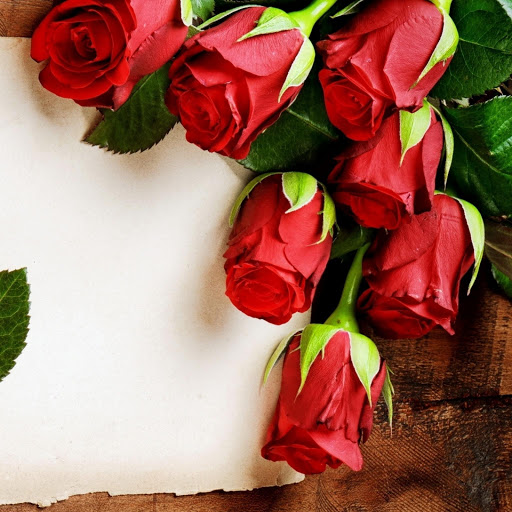 Hd-177515-ascw177515