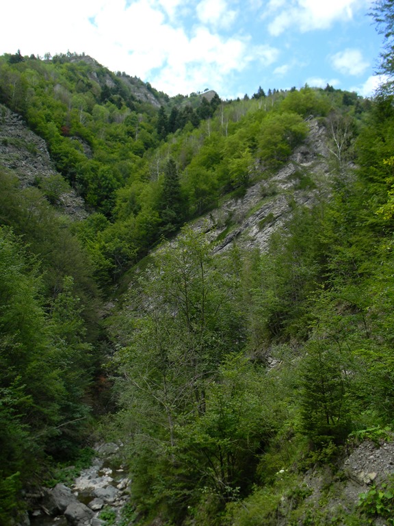 [DSCN41634.jpg]