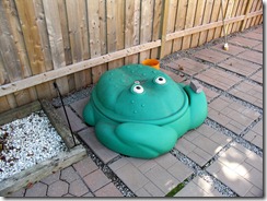 Sad Frog Sandbox