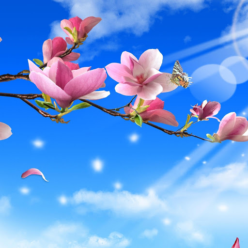 Hd-163489-ascw163489