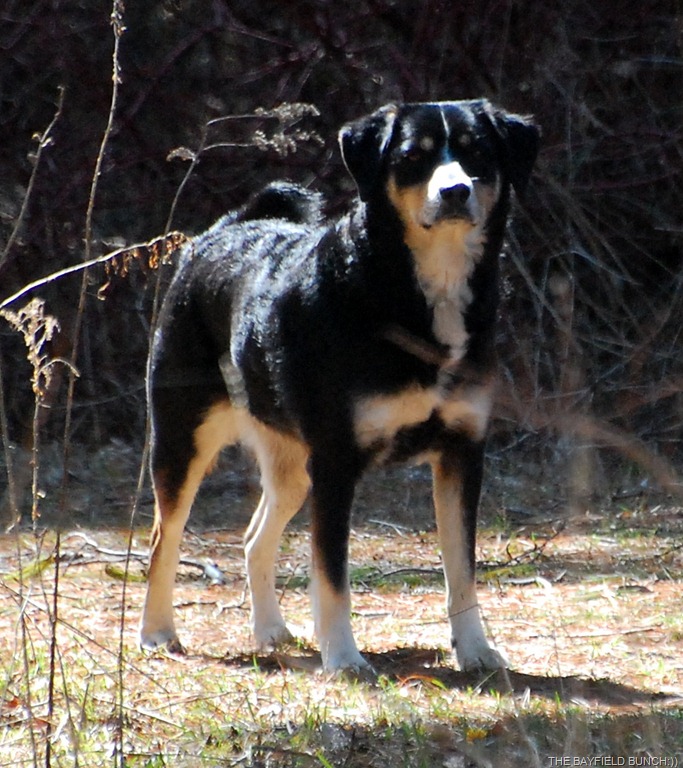 [DSC_9139%255B4%255D.jpg]