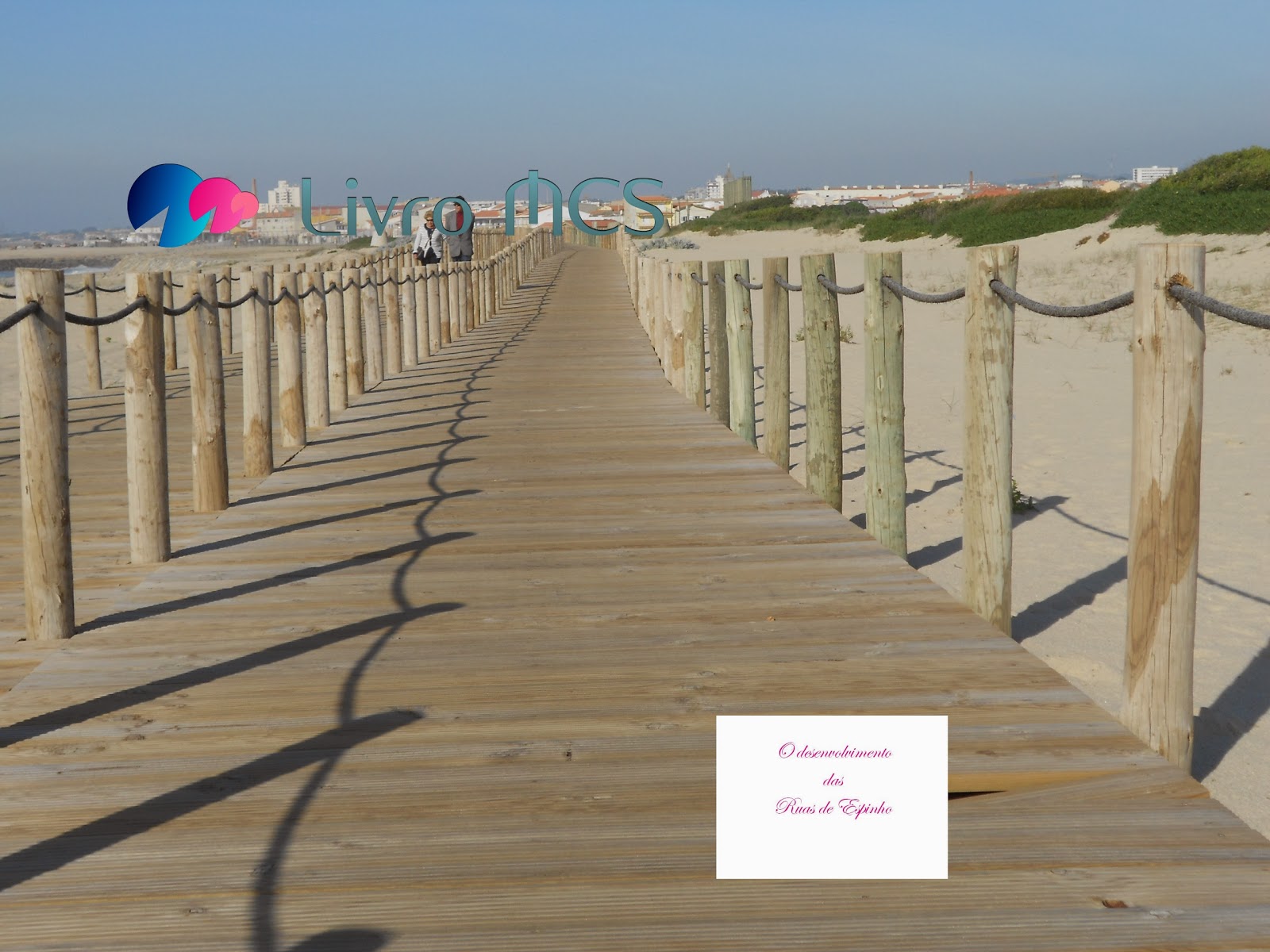 [Blog%2520Gazeta%2520de%2520Espinho004Livro%2520MCS%255B2%255D.jpg]