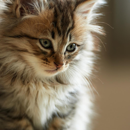 Hd-162370-ascw162370