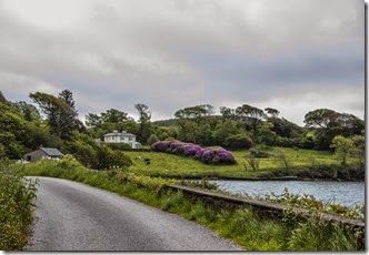 Loch Hyne - West Cork