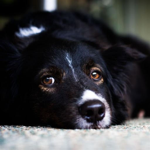 Hd-147696-ascw147696