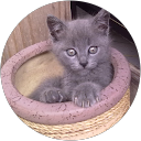 Image Google de Moufida Belazreg