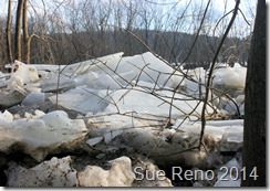 Susquehann River ice jam, by Sue Reno, Image 3