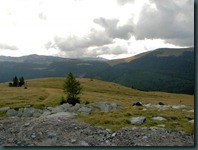 DSCN0359