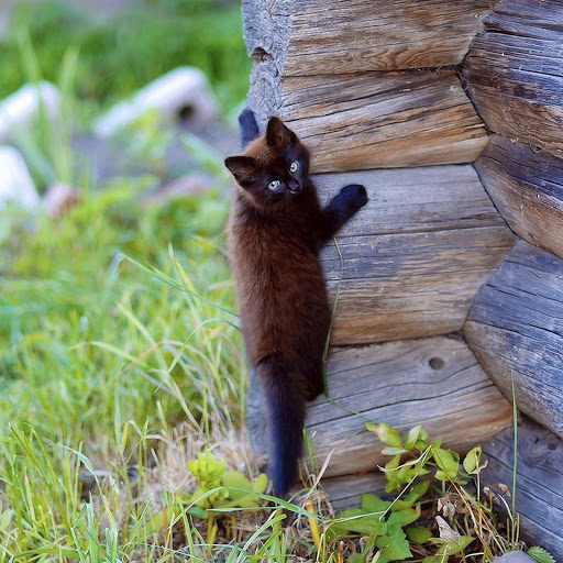 Hd-141849-ascw141849