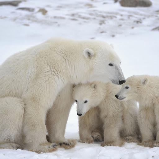 Hd-163675-ascw163675