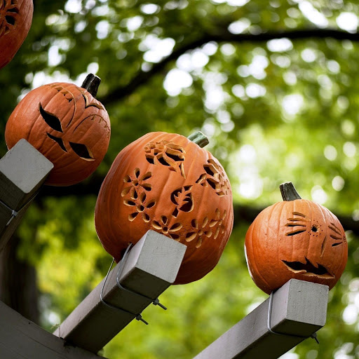 Hd-152023-ascw152023