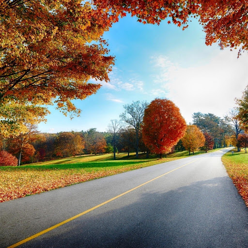 Hd-161748-ascw161748