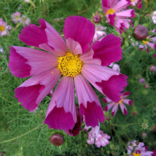 Hd-143110-ascw143110