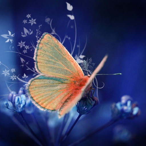 Hd-141848-ascw141848