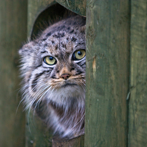 Hd-158957-ascw158957