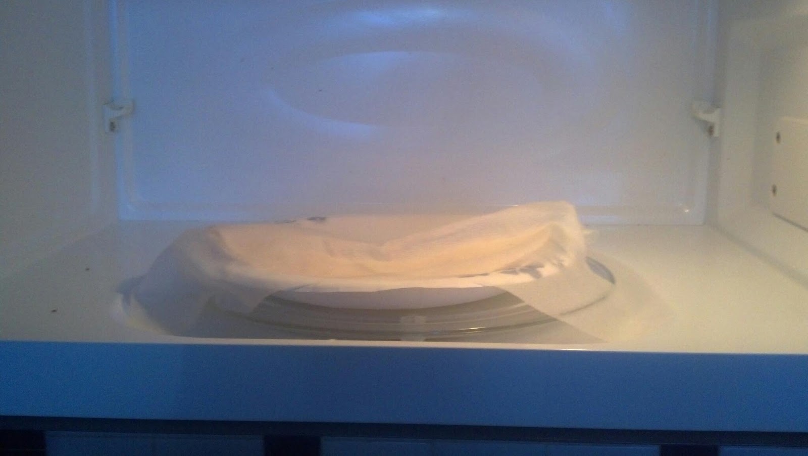 Katie can't cook Microwave quesadilla