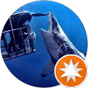 Pakito Space profile picture