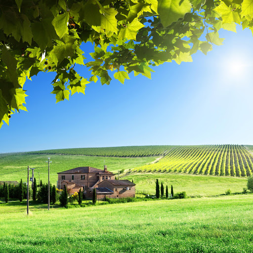 Hd-185332-ascw185332