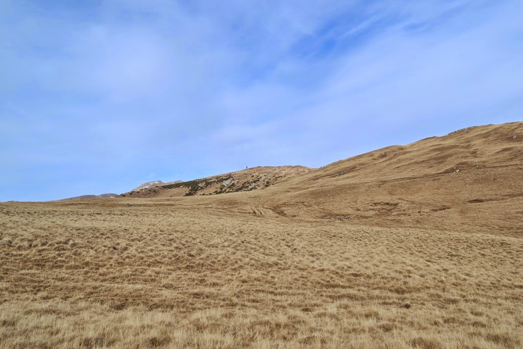 [DSC_73543.jpg]