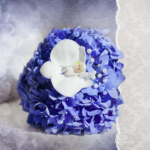 Hd-131612-ascw131612