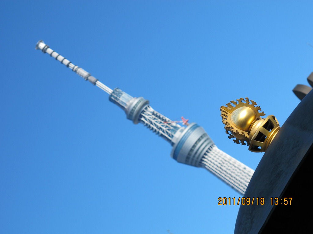 [20111918--1184.jpg]