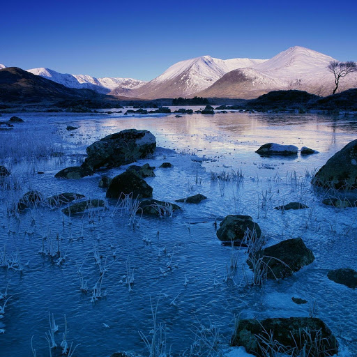 Hd-132875-ascw132875