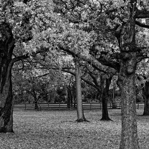 Hd-158473-ascw158473