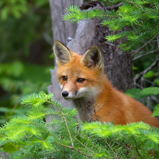 Hd-156628-ascw156628