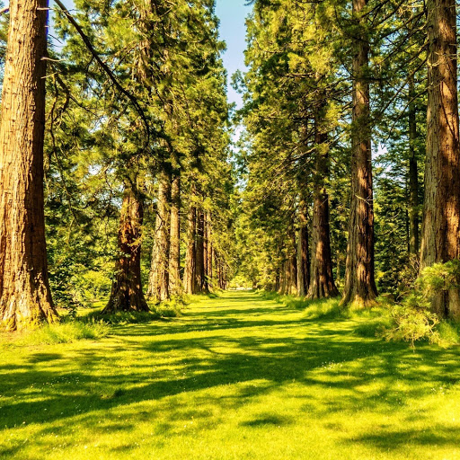 Hd-142224-ascw142224