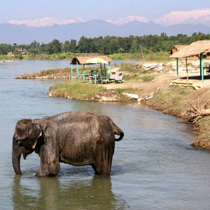 [royal_chitwan_national_park%255B2%255D.jpg]
